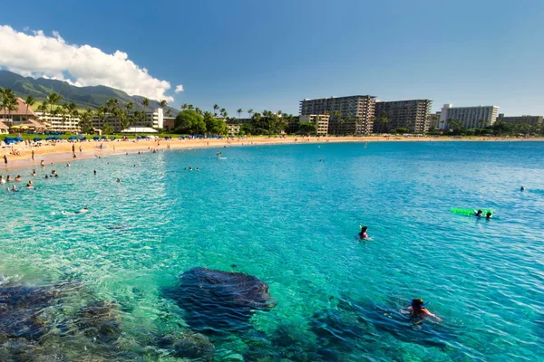 Best Condos in Kaanapali Maui